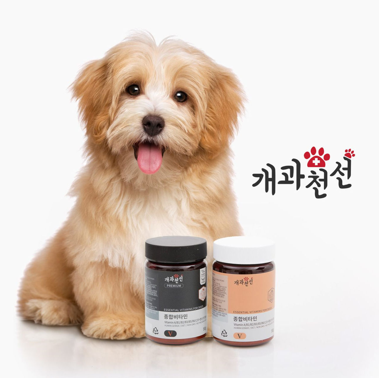 캠페인 썸네일
