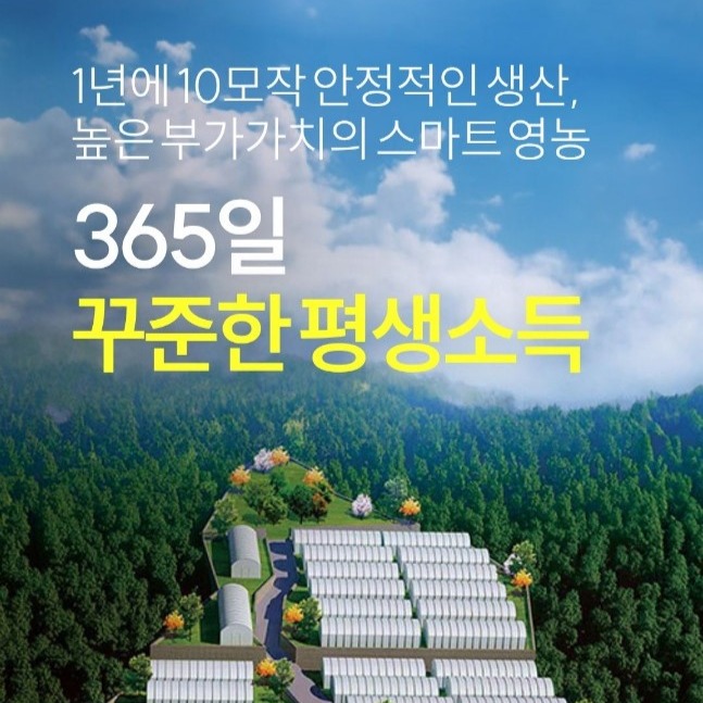 캠페인 썸네일
