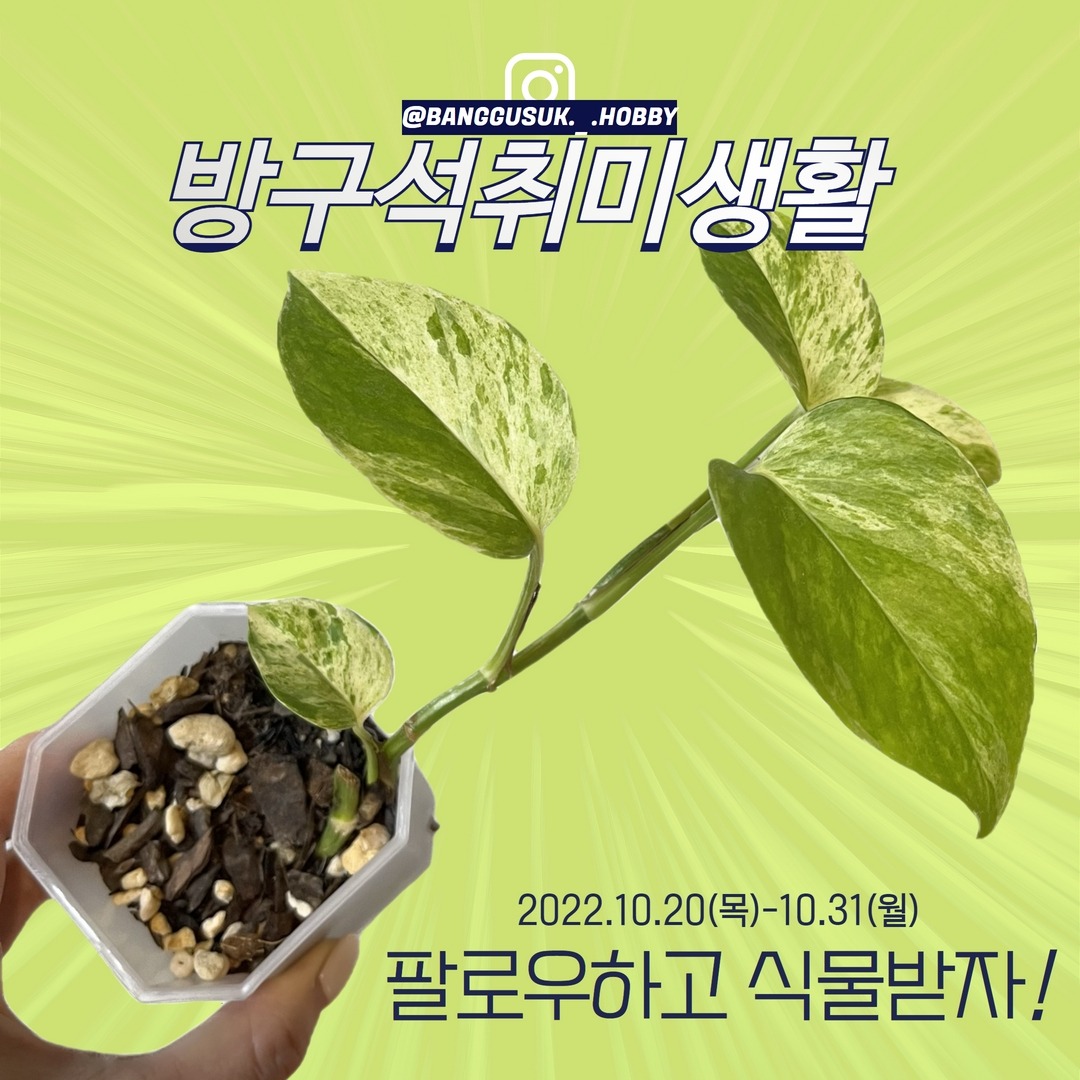 캠페인 썸네일