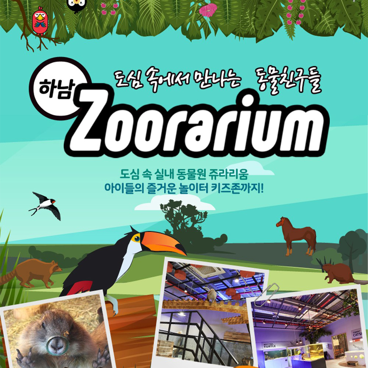 캠페인 썸네일