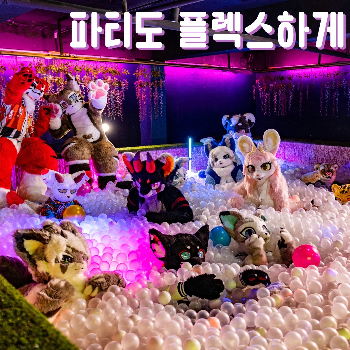 캠페인 썸네일
