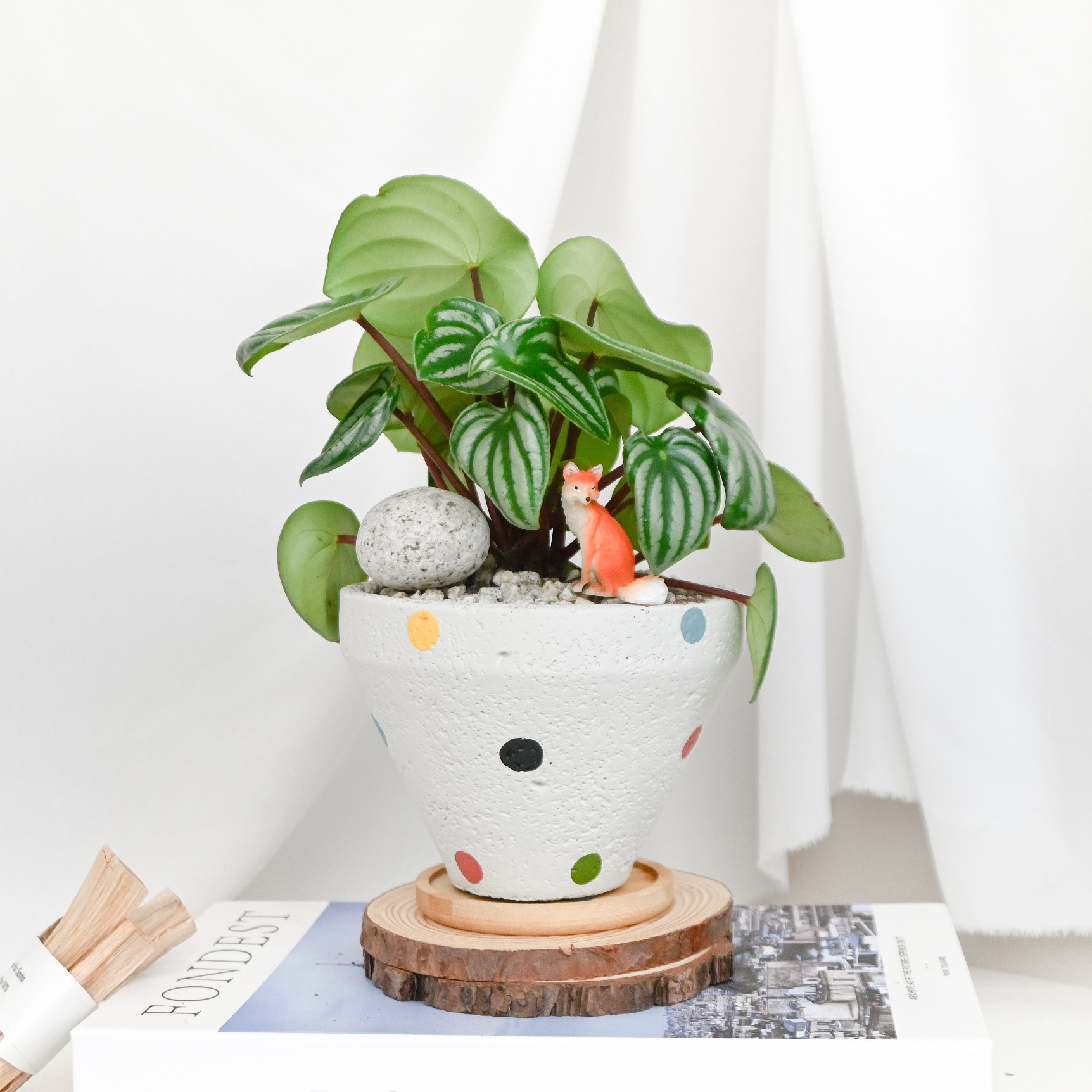 캠페인 썸네일