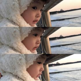 노뽕