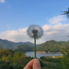 미세스김