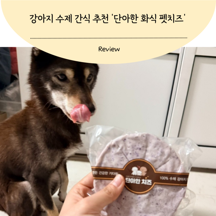 강아지 수제 간식 추천 단아한 화식 생치즈 펫치즈