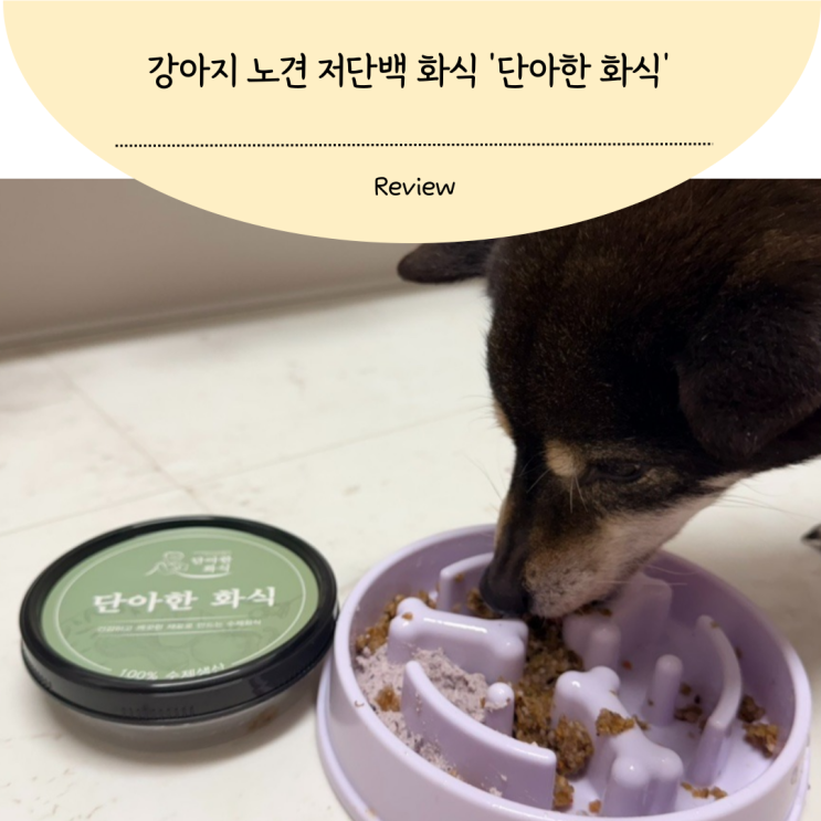 강아지 노견 저알러지 사료 단아한 화식 저단백 화식
