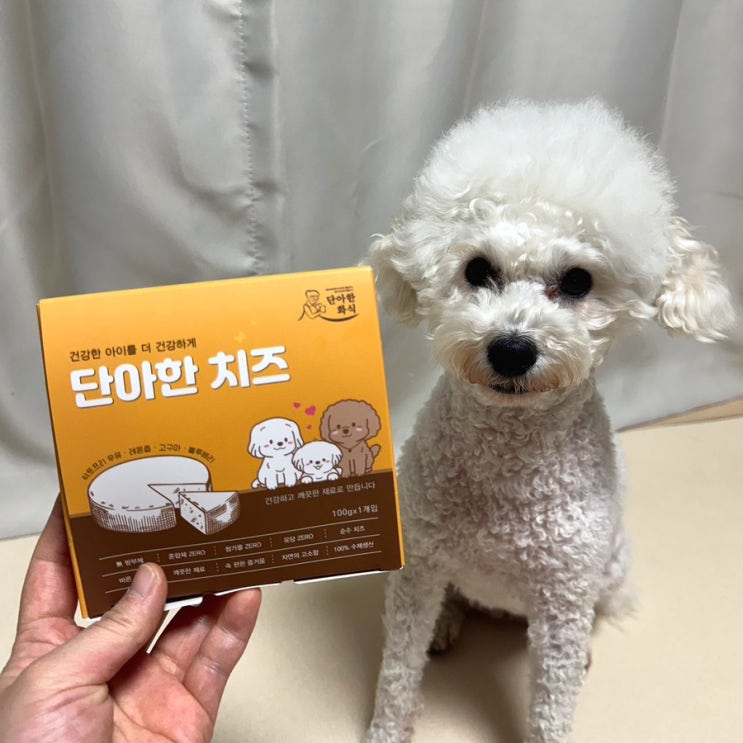 강아지 초신선 치즈 저지방 락토프리 간식