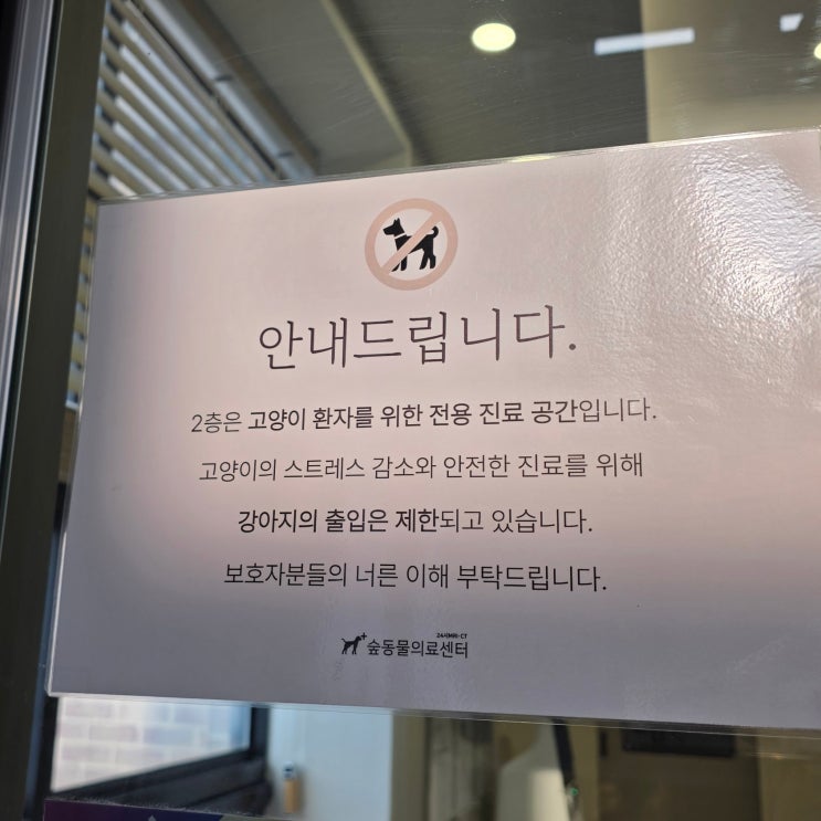 숲동물의료센터 대전 24시간 동물병원 후기, 야간 진료 가능