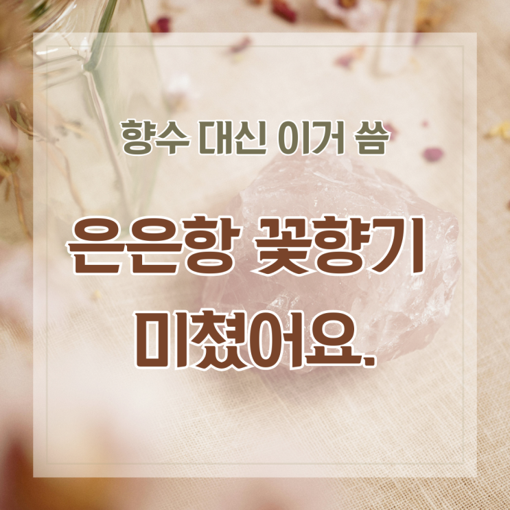 [아워케미] 퍼퓸 피그 블로섬 비건 바디로션 써보니 화장품 뷰티 퍼퓸 로션 여자 남자 다 쓰기 괜찮네요