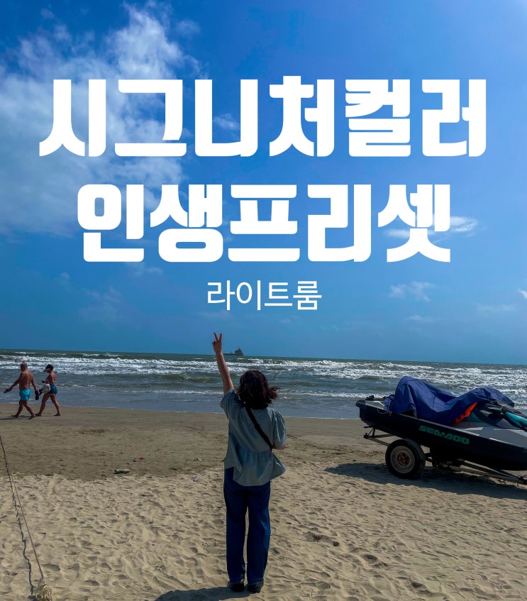 프리셋 시그니처컬러 인생프리셋