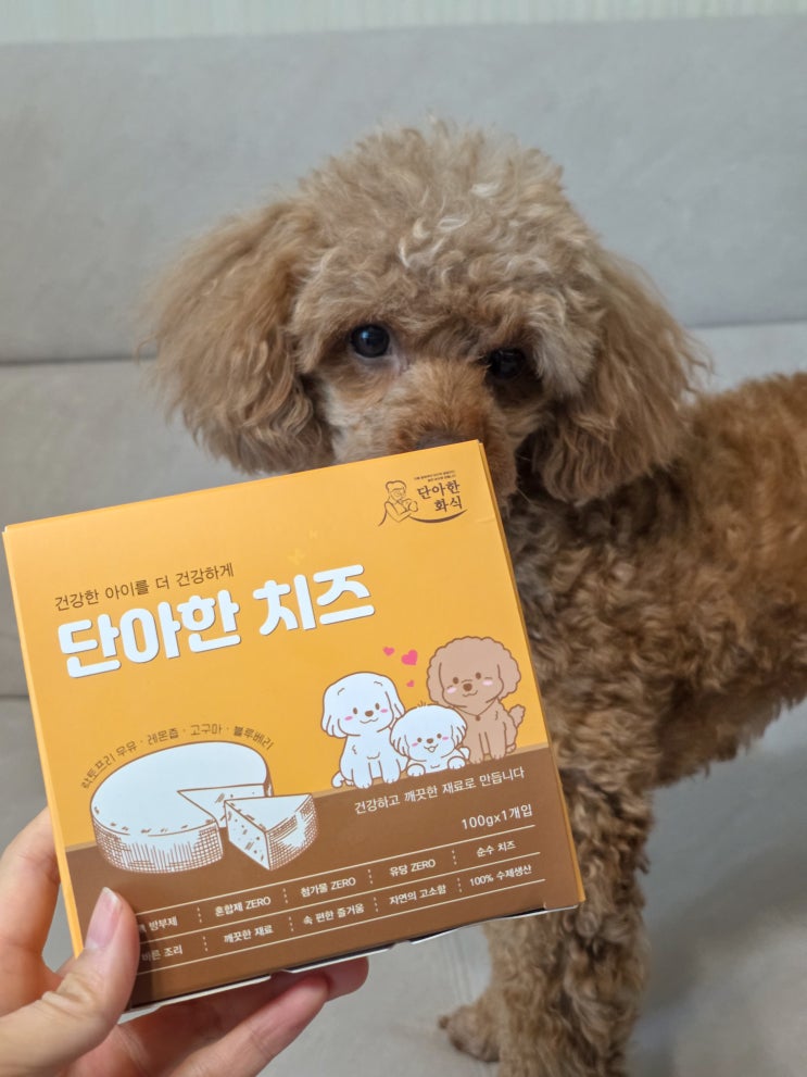 강아지 수제 생치즈, 저지방 락토프리 펫치즈 노견도 급여 가능