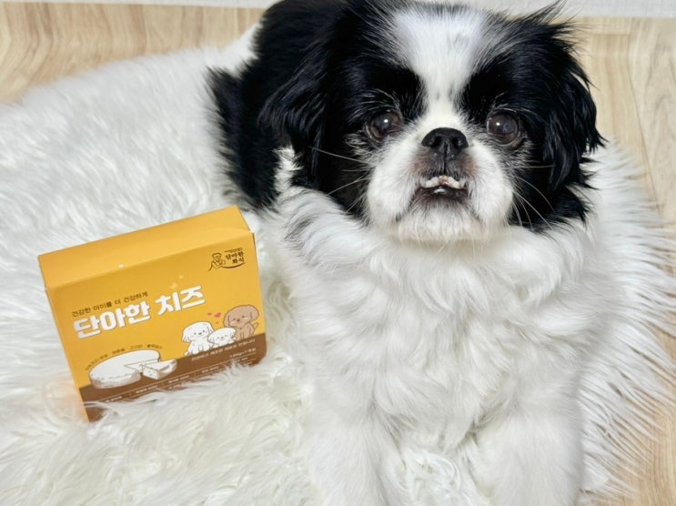 강아지 초신선 치즈 노령견도 잘 먹는 저지방 락토프리 간식