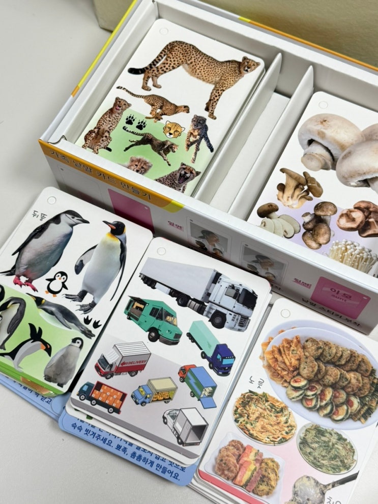 아기 한글공부 교구 추천 실사 사진이라 더 좋아하는 노리낱말카드
