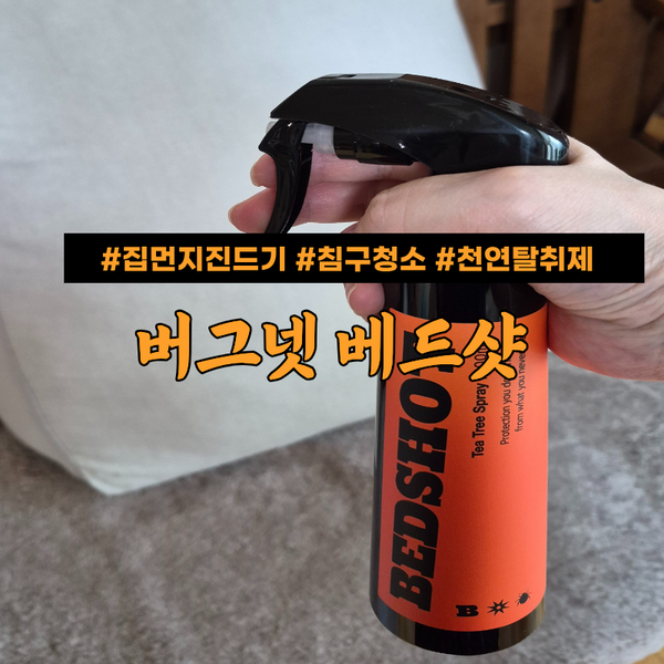 침대 이불진드기 해결방법 임산부 출산준비 필수템 아기있는집 베드샷 후기