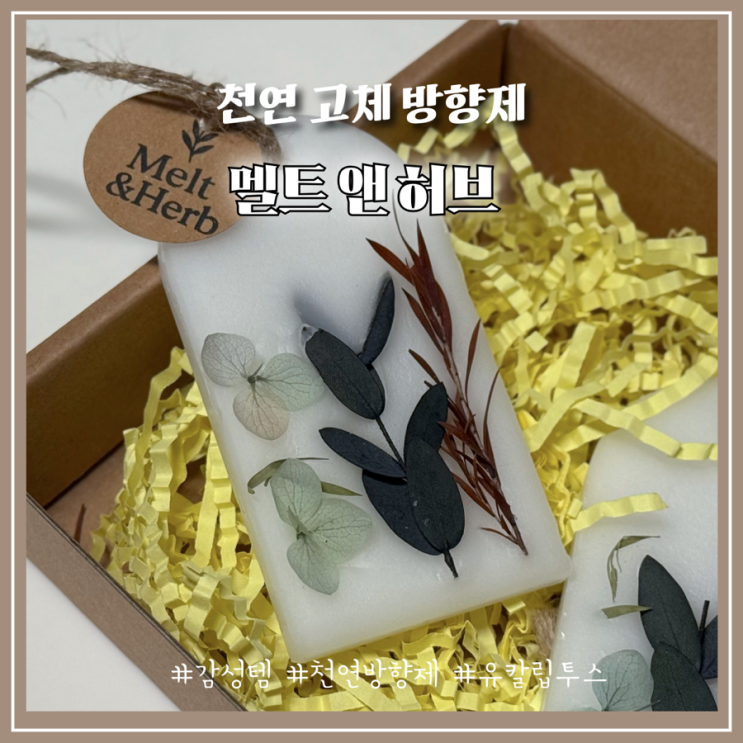 인공 향료 없는 멜트앤허브 천연 허브 왁스타블렛으로 완성한 감성 인테리어