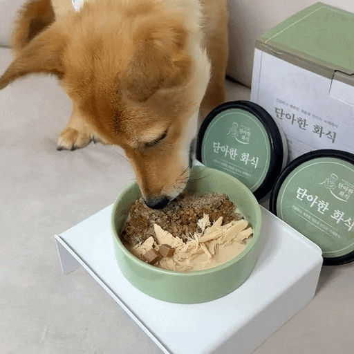 강아지 저지방화식 노견화식 기호성좋은화식 단아한화식 추천
