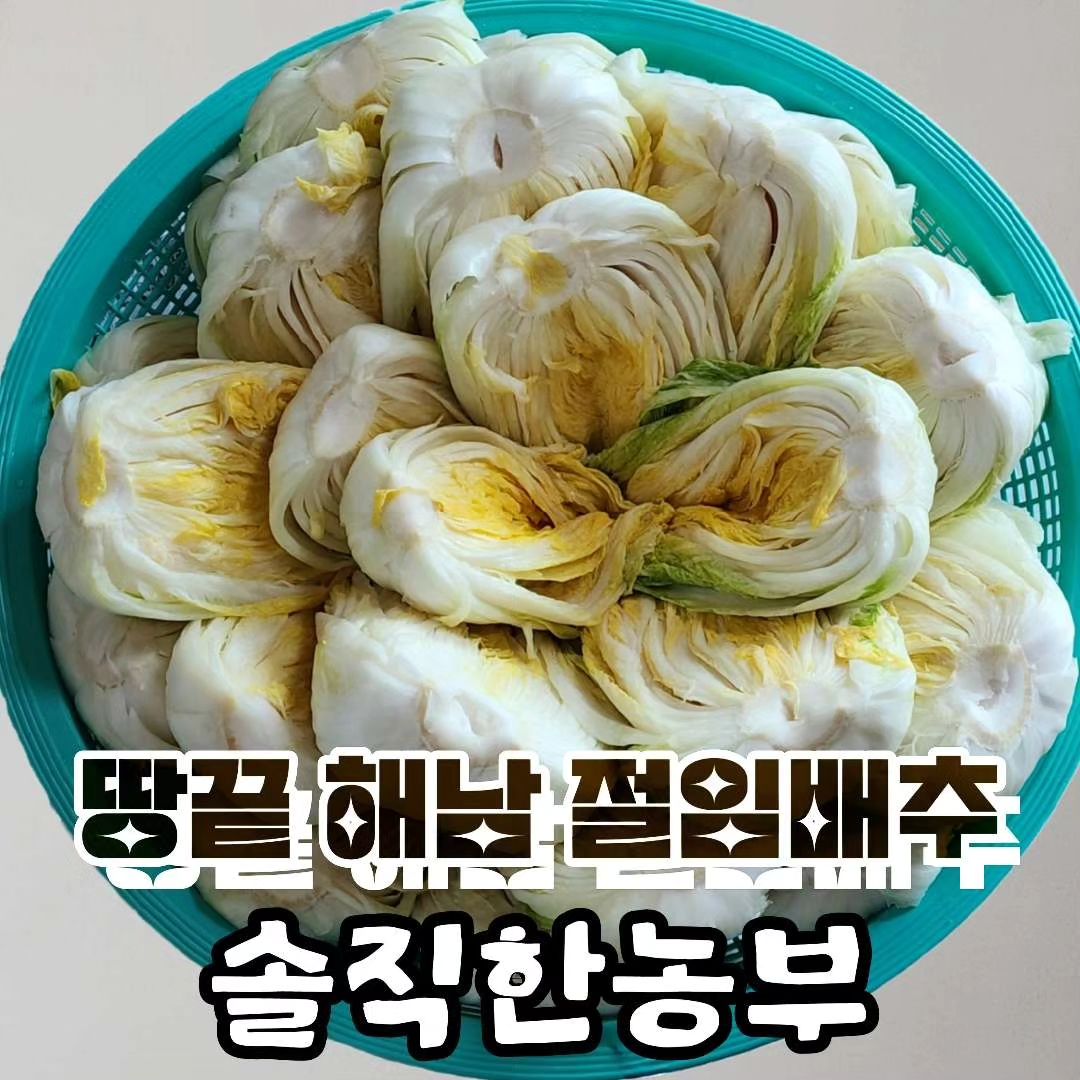 🏷 솔직한농부 [ 해남 절임배추 ]

매년 엄마가 직접 배추 사서 소금간 절이고 양념까지 했었는데
올해는 그 수고스러움을 조금이나마 덜어드리고자
#해남절임배추 를 구입하여 김장김치를 담궜어요!

김장김치, 한번 담궈서 1년동안 먹으니
김치 담굴 배추의 상태가 제일 좋아야겠죠?

#절임배추 구입은 처음이라, 여기저기 후기도 많이 찾아봤고 해남 절임배추가 그렇게 맛있다고들하여 솔직한농부 #스테비아배추 로 20kg*2박스 (총40kg) 구매했어요!

절임배추 1박스(20kg) 기준 배추 7~9포기가 들어가고
속이 노랗고 꽉 찬 해남배추였답니다-!

90일 이상 키운 #청명가을배추 라는 신품종으로
수분함량이 적고 조직이 단단하며 속이 꽉 차 있어요
#스테비아절임배추 는 더달고, 더크고, 더 저장성이 좋은 배추로 그냥 배추만 먹어도 달달, 아삭! 맛있는게 특징이구요

요즘 천일염이며 재료값들도 전부 폭등시기라
직접 배추를 절이는 것보다 오히려 절임배추 구입하는게 확실히 현명한 것 같은 느낌입니다 👀

김장 하기 1시간 전, 채반 또는 소쿠리에 받쳐 물을 빼주고
맛있는 양념을 배추잎 한장~한장~ 치대주기만 하면
올해 김장시즌 깔끔하게 클리어 할 수 있어요-!

엄마도 올해 절임배추덕에 김장이 훨씬 수월하다고 하시니 뿌듯뿌듯 (●'◡'●) !
믿고 먹을 수 있고 품질 보증된 #솔직한농부 #절임배추 추천합니다 👍

네이버 스마트스토어 🎈솔직한농부
https://smartstore.naver.com/solgik/products/5073553170?

.
.
.

#절임배추추천 #해남절임배추 #절임배추택배 #김장김치 #2023김장 #김장시즌 #김장김치담기 #김장 #김치양념 #김치양념만드는방법 #김치 #김치택배 #해남배추 #스테비아절임배추 #스테비아배추