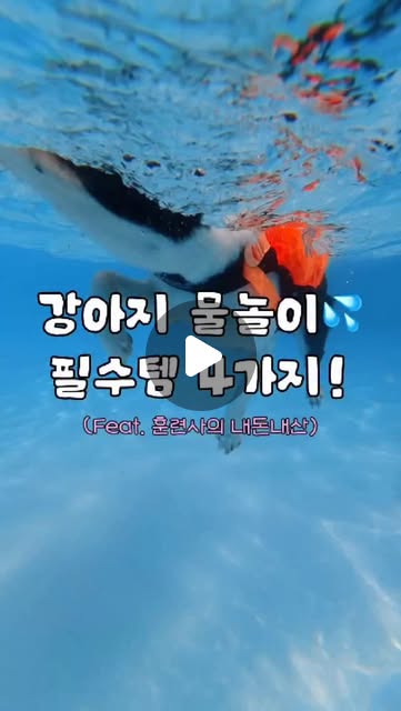 콘텐츠