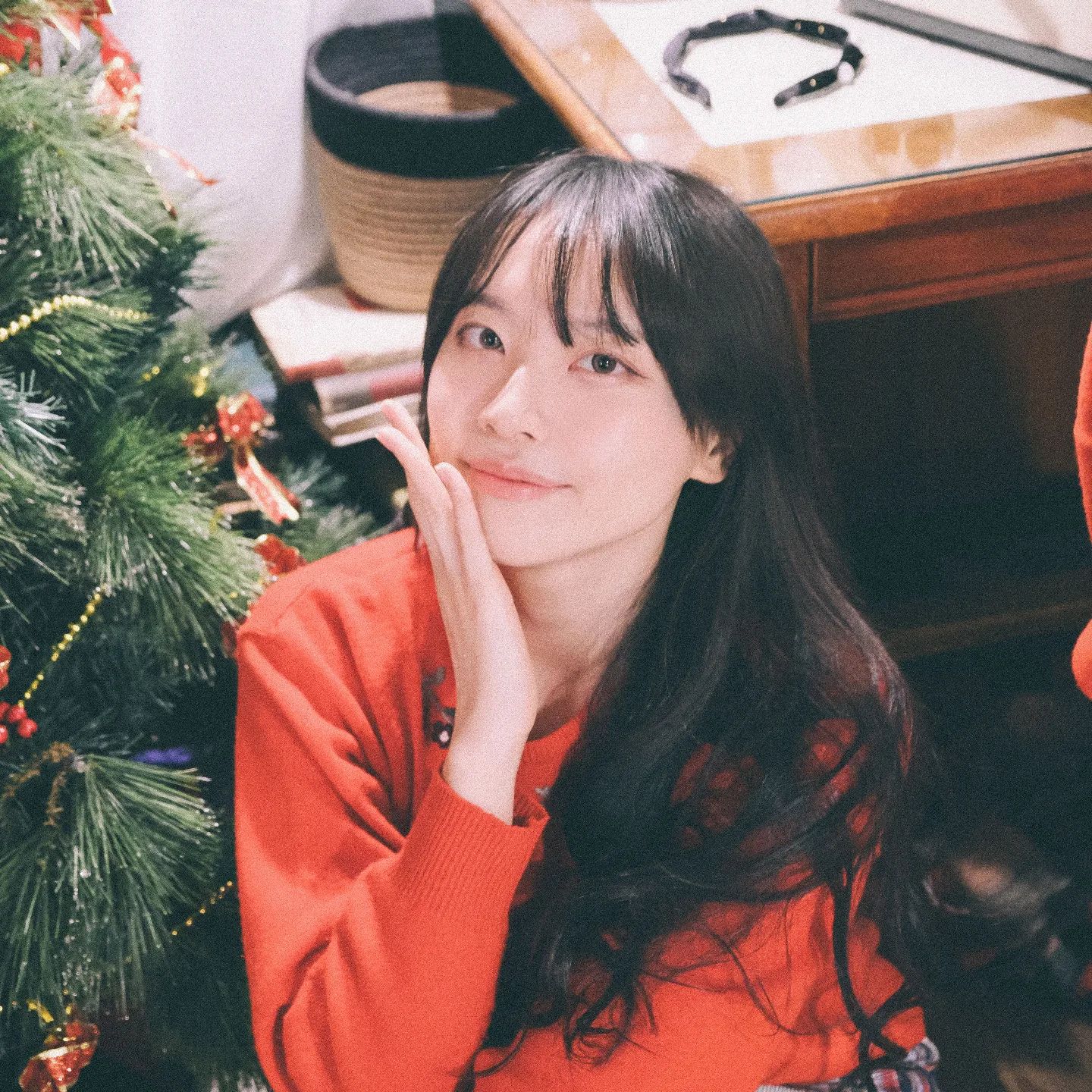 🌲얼빡🌲