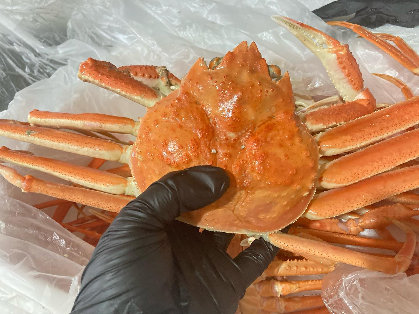 dddbee 생일선물 클라쓰,,
나 좋아하는걸로 고민해서 보냈을 생각하니까 넘 갬동이고 맛있어서 더 감동ㅠㅠㅠㅠㅠㅠㅠ 조개구이 머그러가자 ❤️❤️❤️❤️