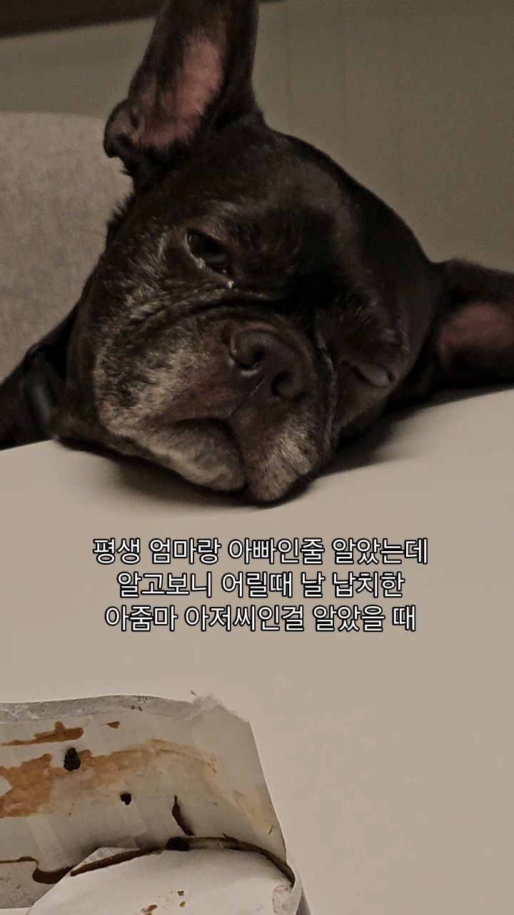 콘텐츠