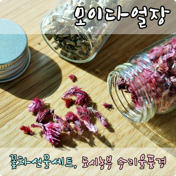 꽃차선물세트 모이다얼장, 수제꽃차로 물들다