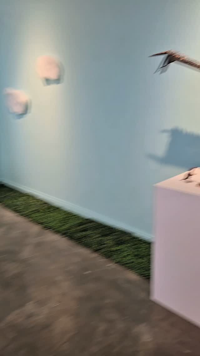 콘텐츠