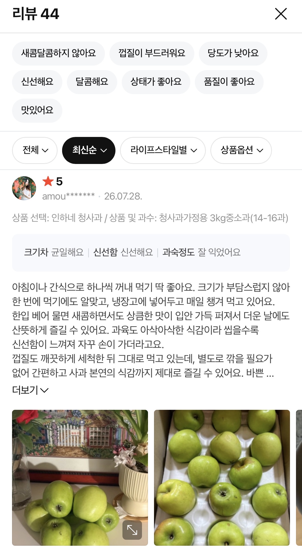 새콤달콤 아오리사과 청사과
