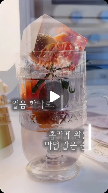 [탱이하우스] 탱이하우스 푸쉬 빅 아이스트레이 2구/4구
