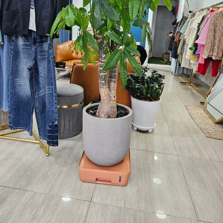 화분키우기 좋은 트리저브 화분받침대 잘 사용중이에요.