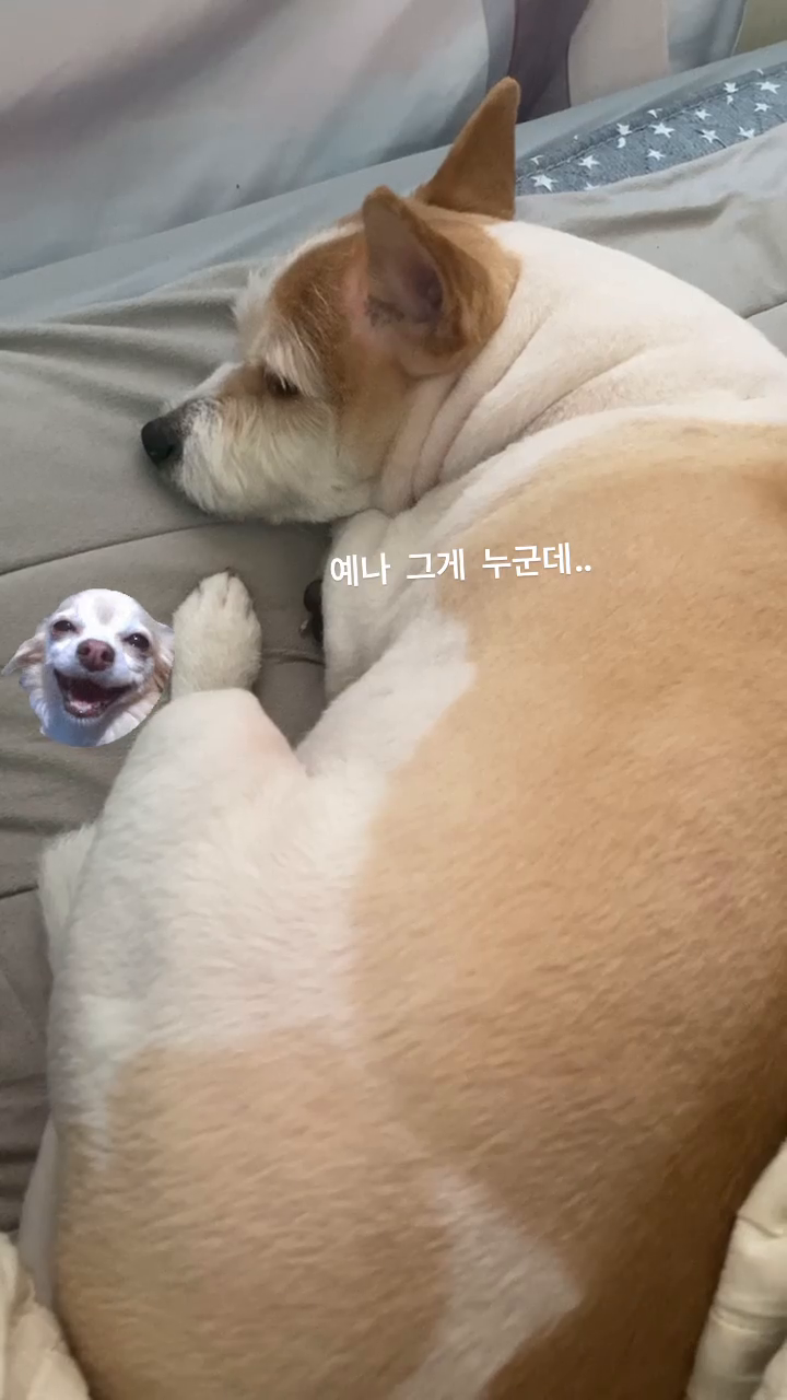 리뷰