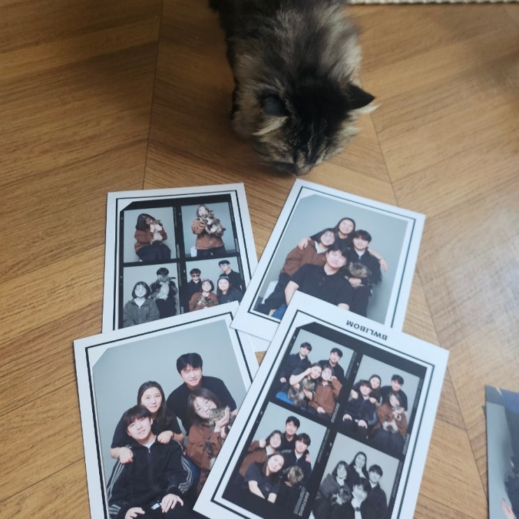 천안셀프사진관 추천 신부동사진관 흑백리봄 천안점에서 반려묘와 가족사진 남기기