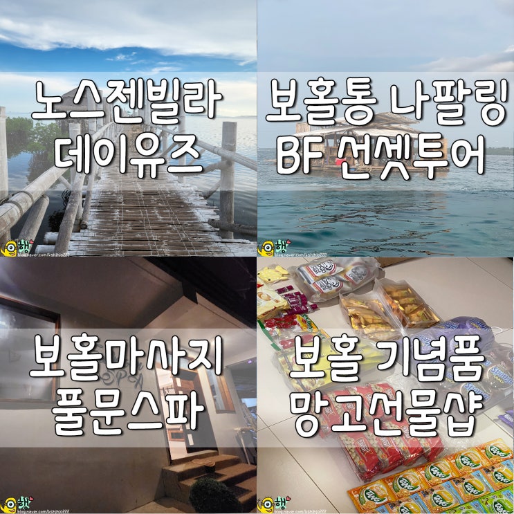 필리핀 보홀 3박5일 여행 코스 경비 정리