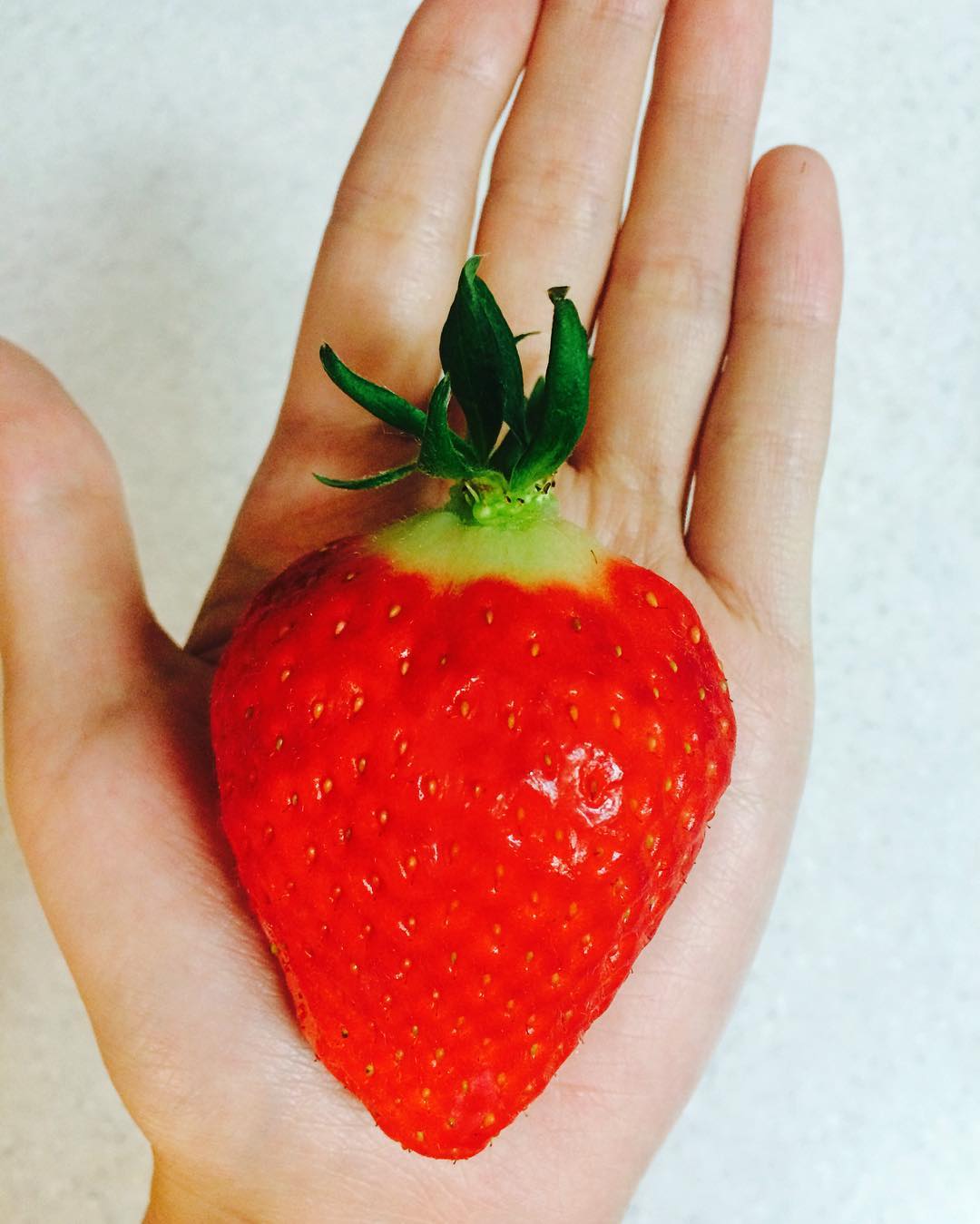 대왕🍓🍓 행복해