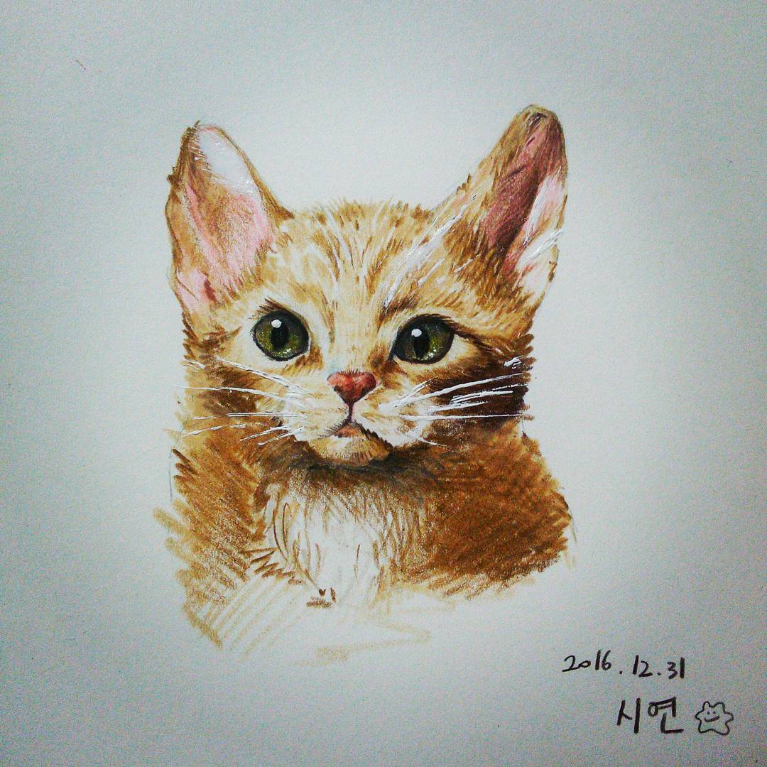 콘텐츠