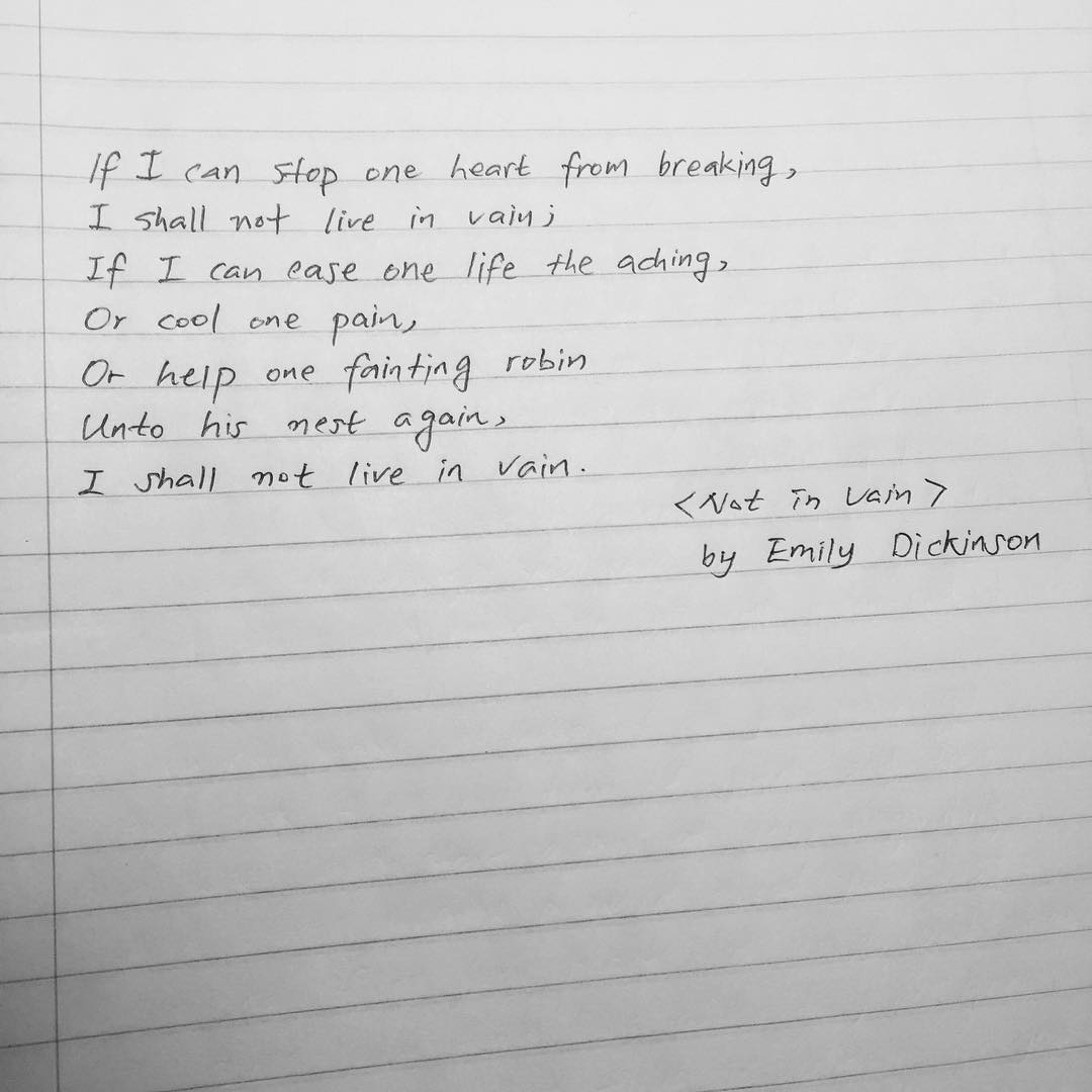 I shall not live in vain #dailyquote #poetry #emilydickinson #literature