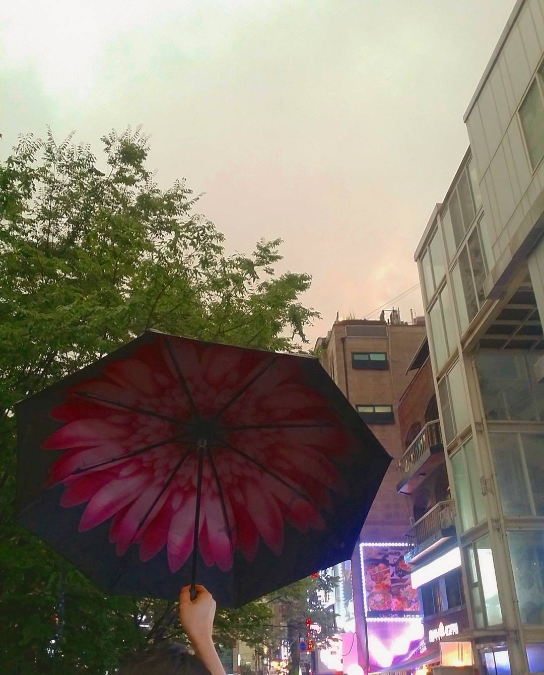 울오빠꽃선물🌻🌹🌺🌼🌹