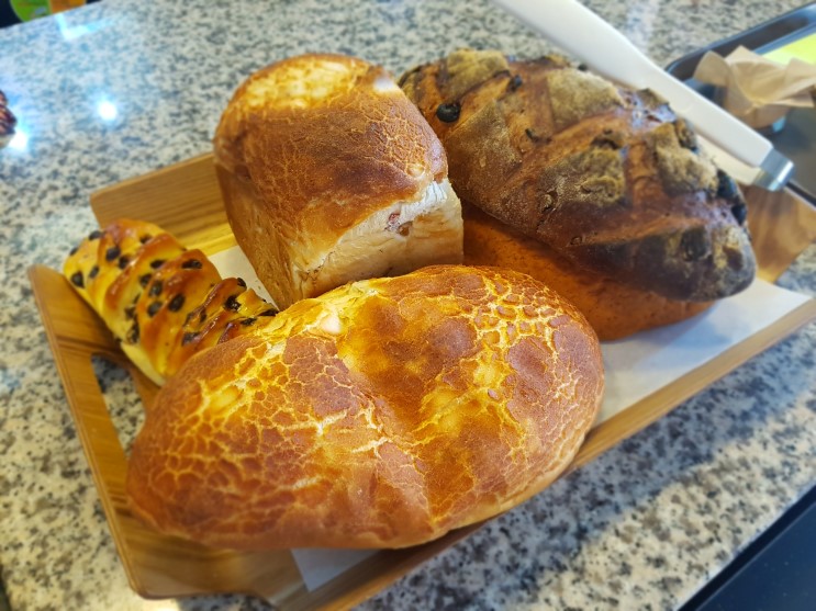 [서현/오팡] 건강한 빵들이 모여있는 곳, 오팡