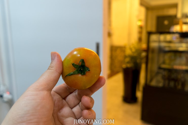 대저 짭짤이 토마토 부산발