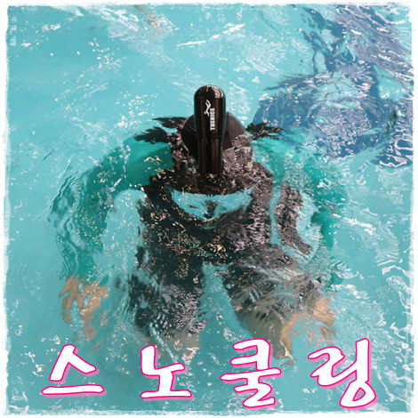 스노쿨링 # 기능 업! 더나이스 스노쿨링 마스크