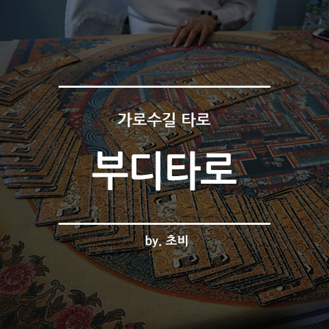 가로수길사주, 타로전문 부디타로에서 타로 봤어요