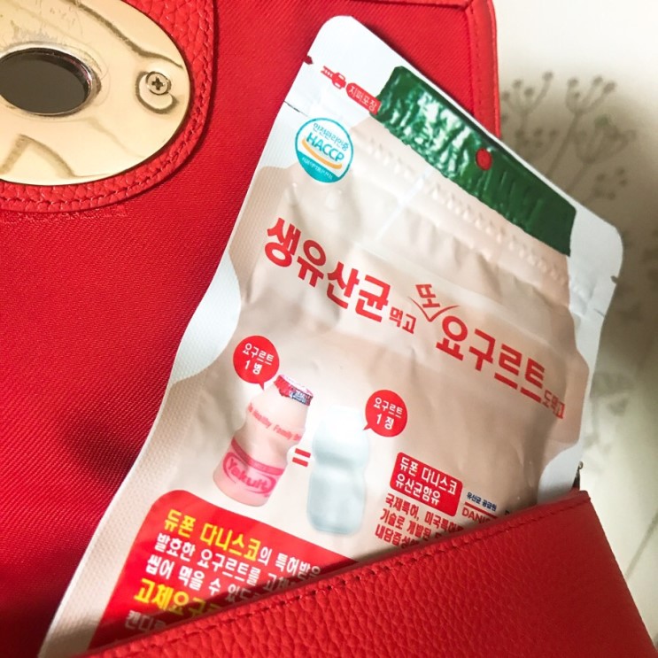 요구르트 유산균 영양간식으로! 츄어블 유산균