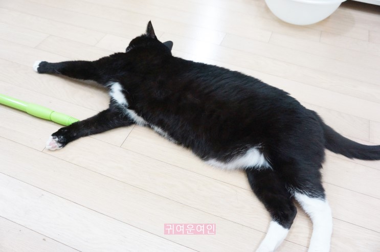정전기 청소포 넘 편하다.