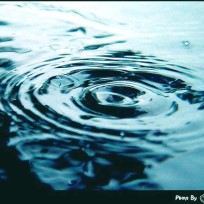 ‥Flowless‥． : 네이버 블로그