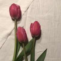 시원한 물냉면으로 무더운 여름나기 : 청수냉면