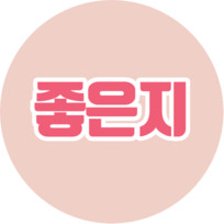 차량용 스마트폰거치대 : 대쉬크랩 cd슬롯