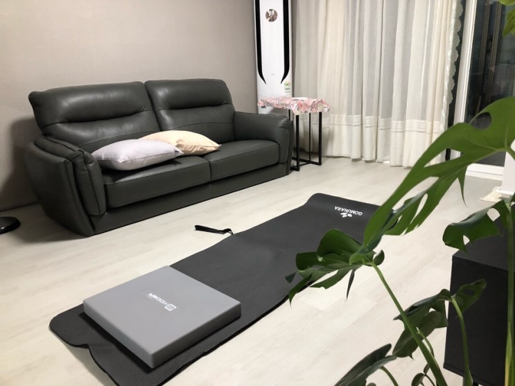플랑크보드 엑사이더, 집 운동기구 추천 