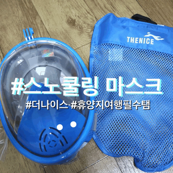 휴양지필수템 스노클링마스크 추천! : 더나이스 스노클링마스크