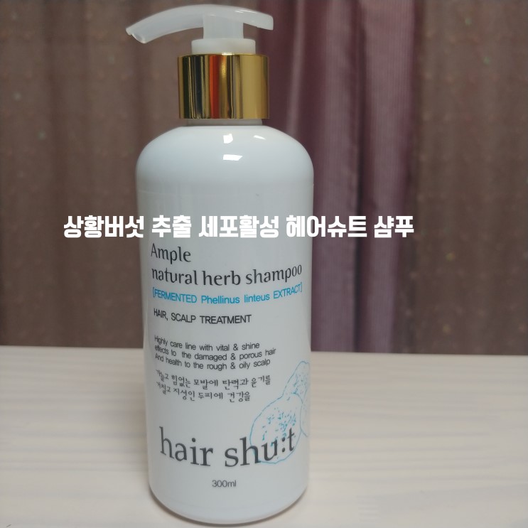 [뷰티/미용] 상황버섯 추출 세포활성 헤어슈트 샴푸 - 탈모예방