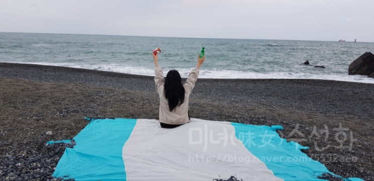 해변매트돗자리 와일드혼 비치매트와 겨울바다로 가자